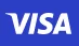VISA icon